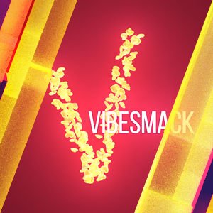 VibeSmack V Hot Love